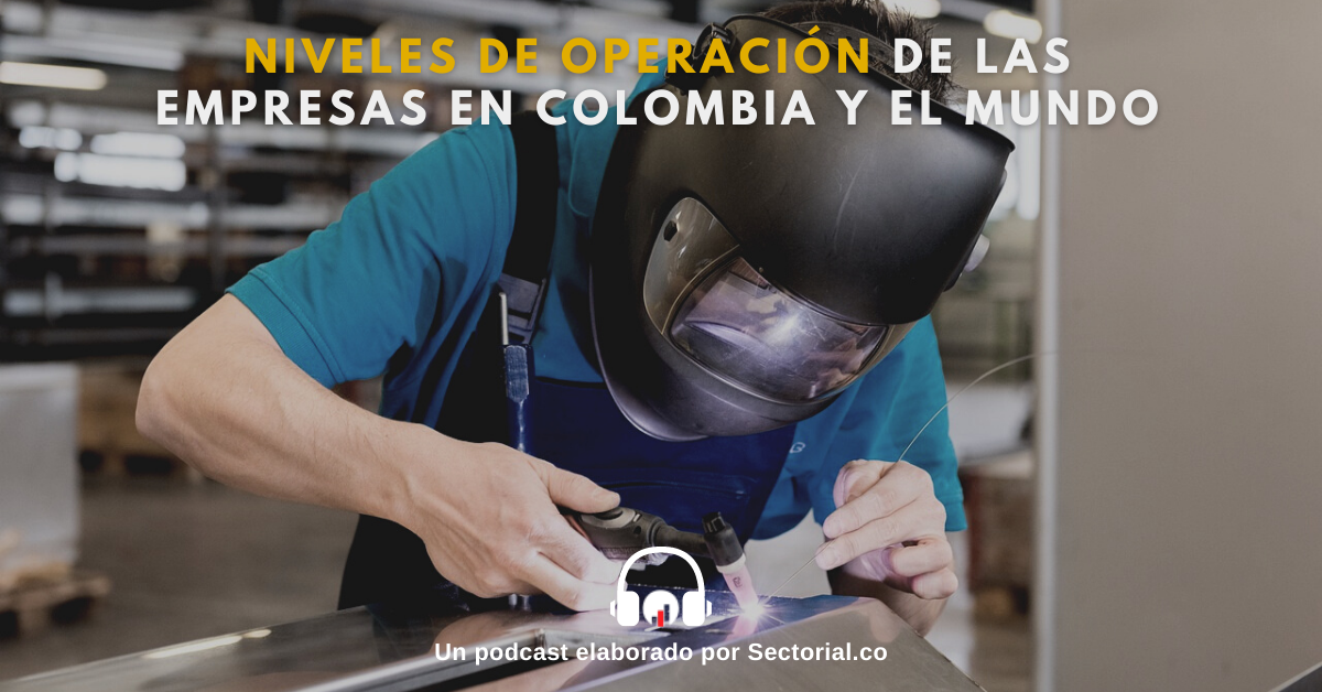 Niveles De Operación De Las Empresas En Colombia Y El Mundo 