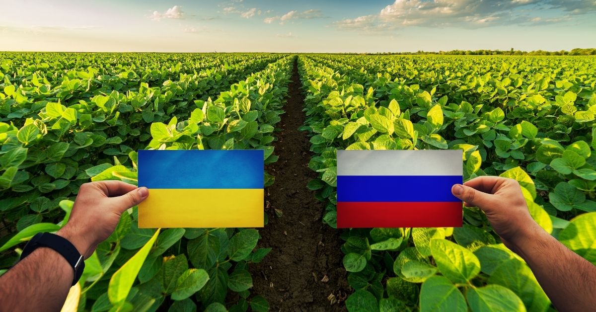 Precio De Los Fertilizantes Agrícolas