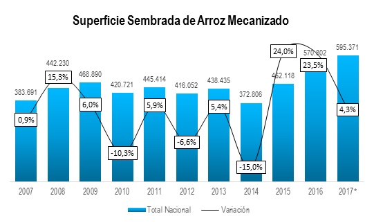 Arroz Mecanizado 2018
