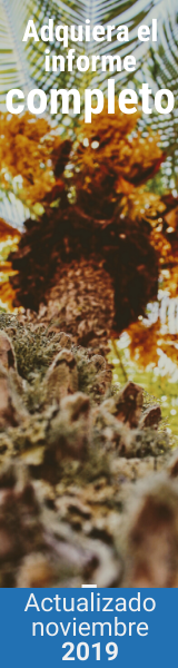 Aceite Actualizado Noviembre 2019