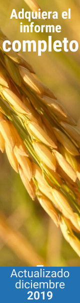 Arroz Actualizado Noviembre 2019