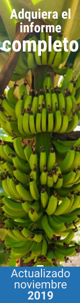 Banano Actualizado Noviembre 2019