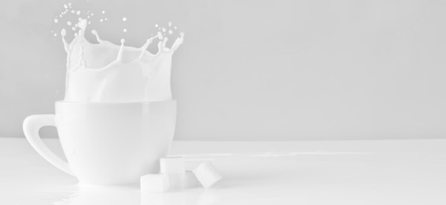 Leche Informe Portada