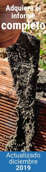 Cemento Actualizado Noviembre 2019