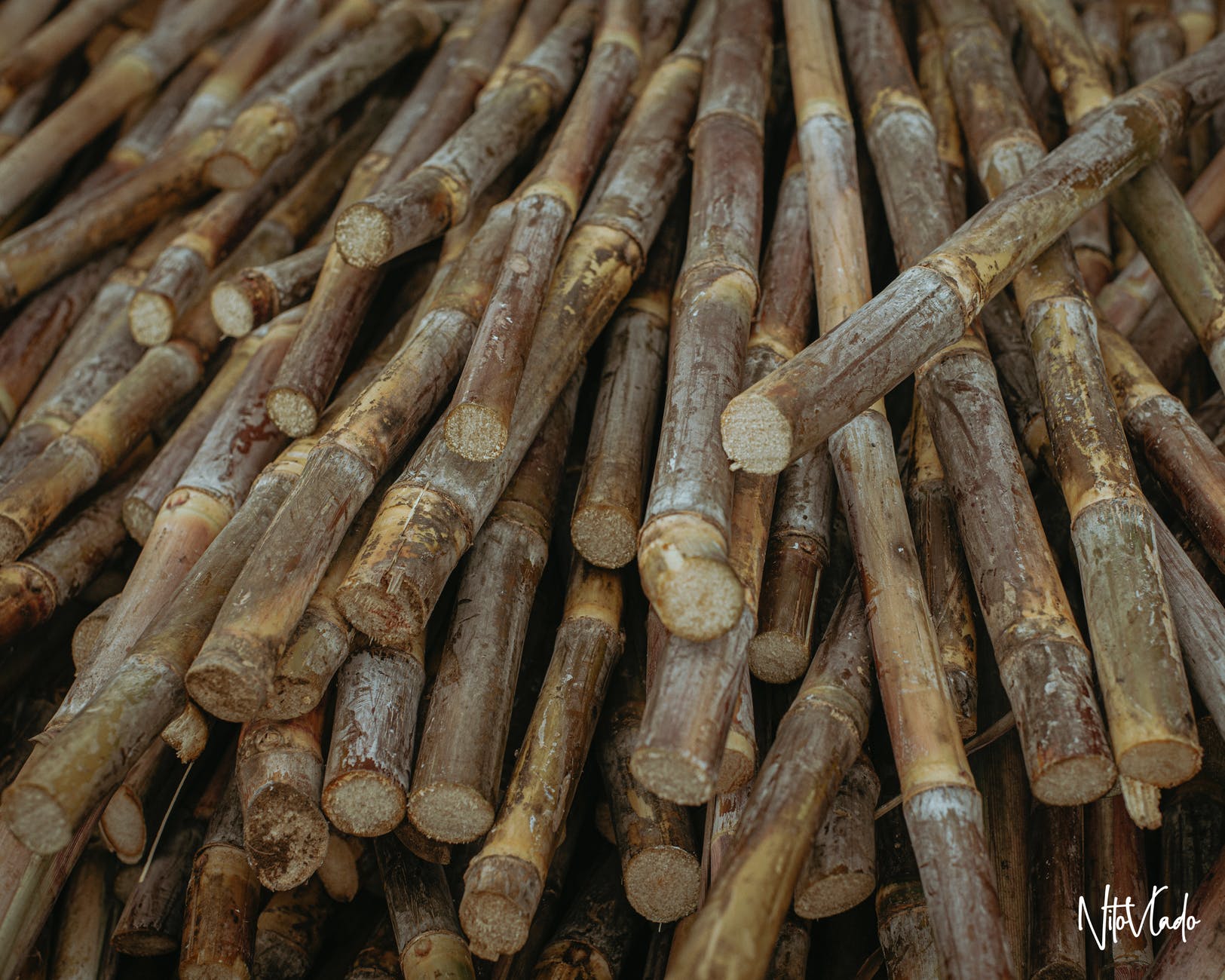 Pexels Photo 2682807