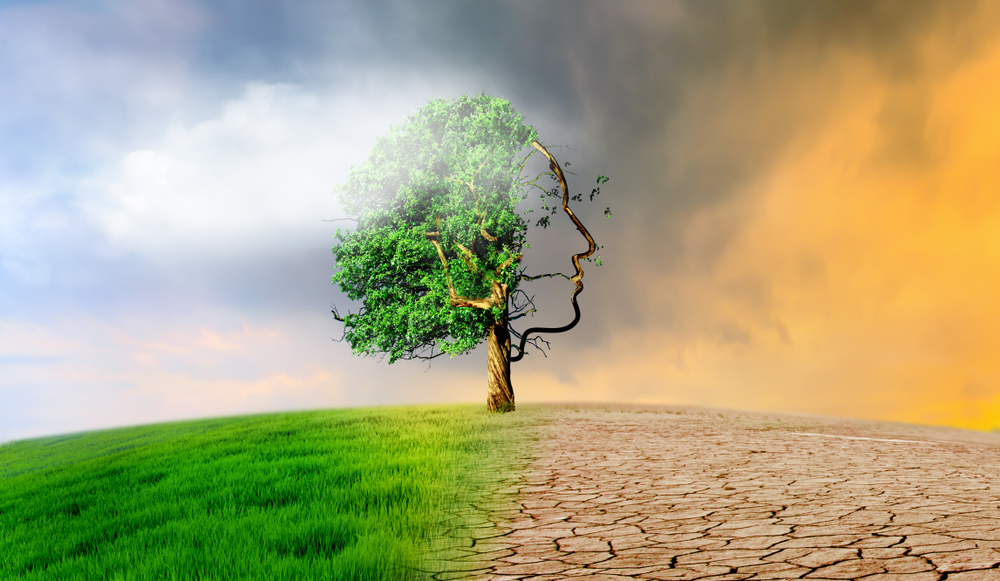 Shutterstock 1267226593