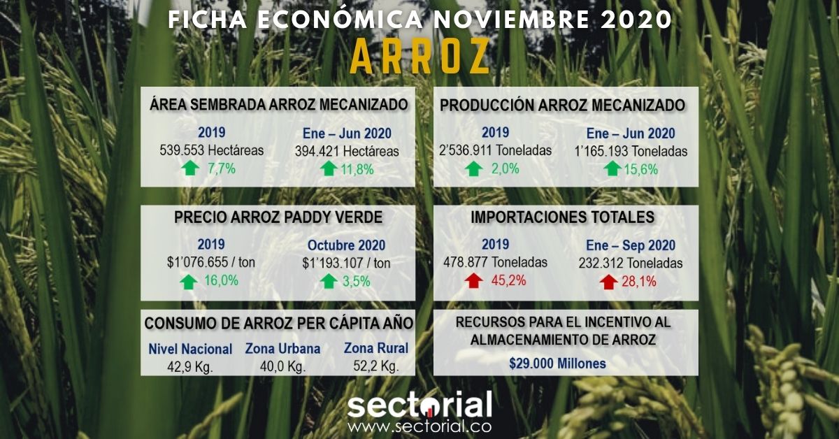 Ficha Económica Arroz Noviembre 2020