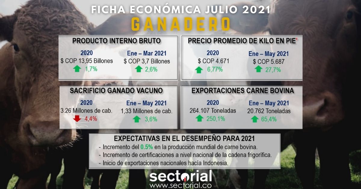 Ficha Económica Sector Ganadero Julio 2021