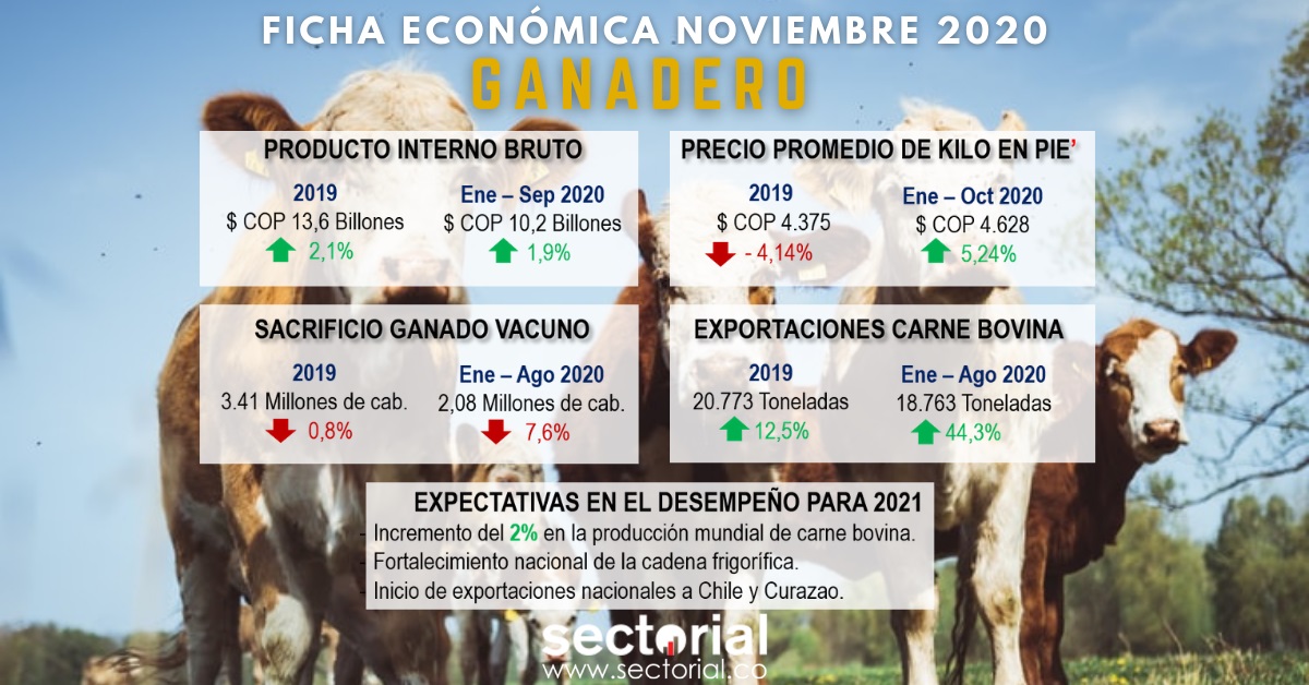 Ficha Ganadero 2020II