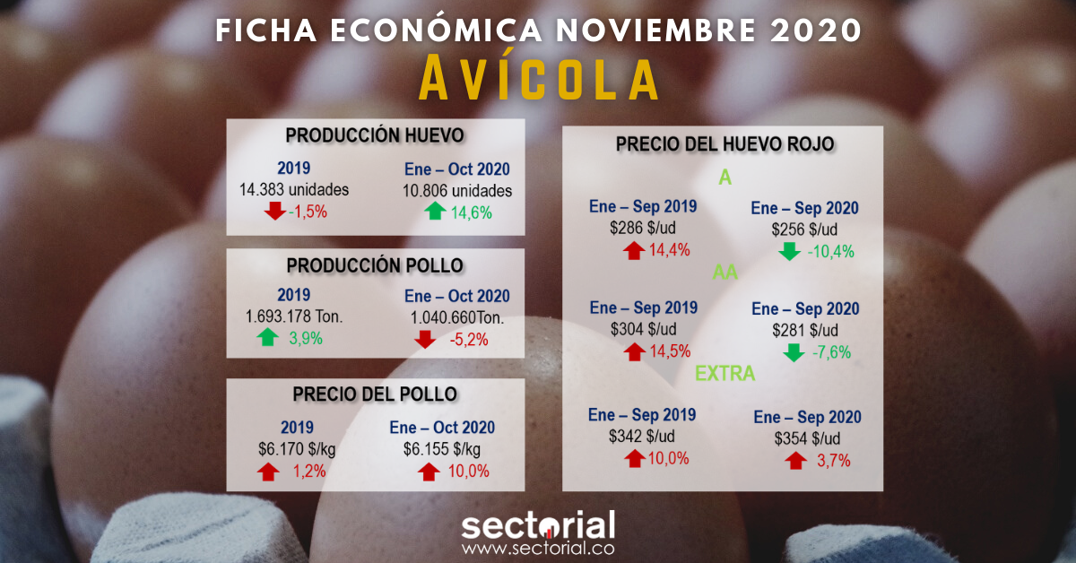 Ficha Económica Avícola Nov 2020