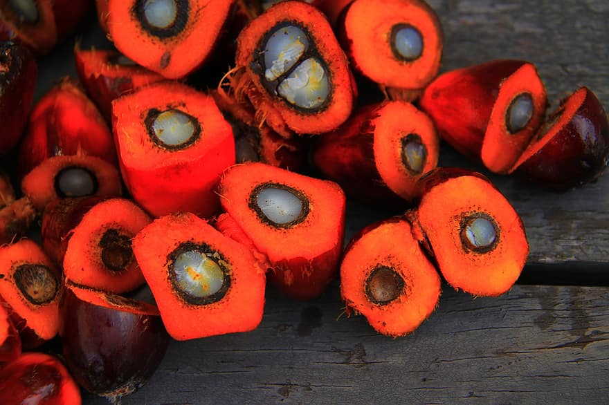 Palm Oil Oil Palm Agriculture Tropical Food Fruit Seed Industry