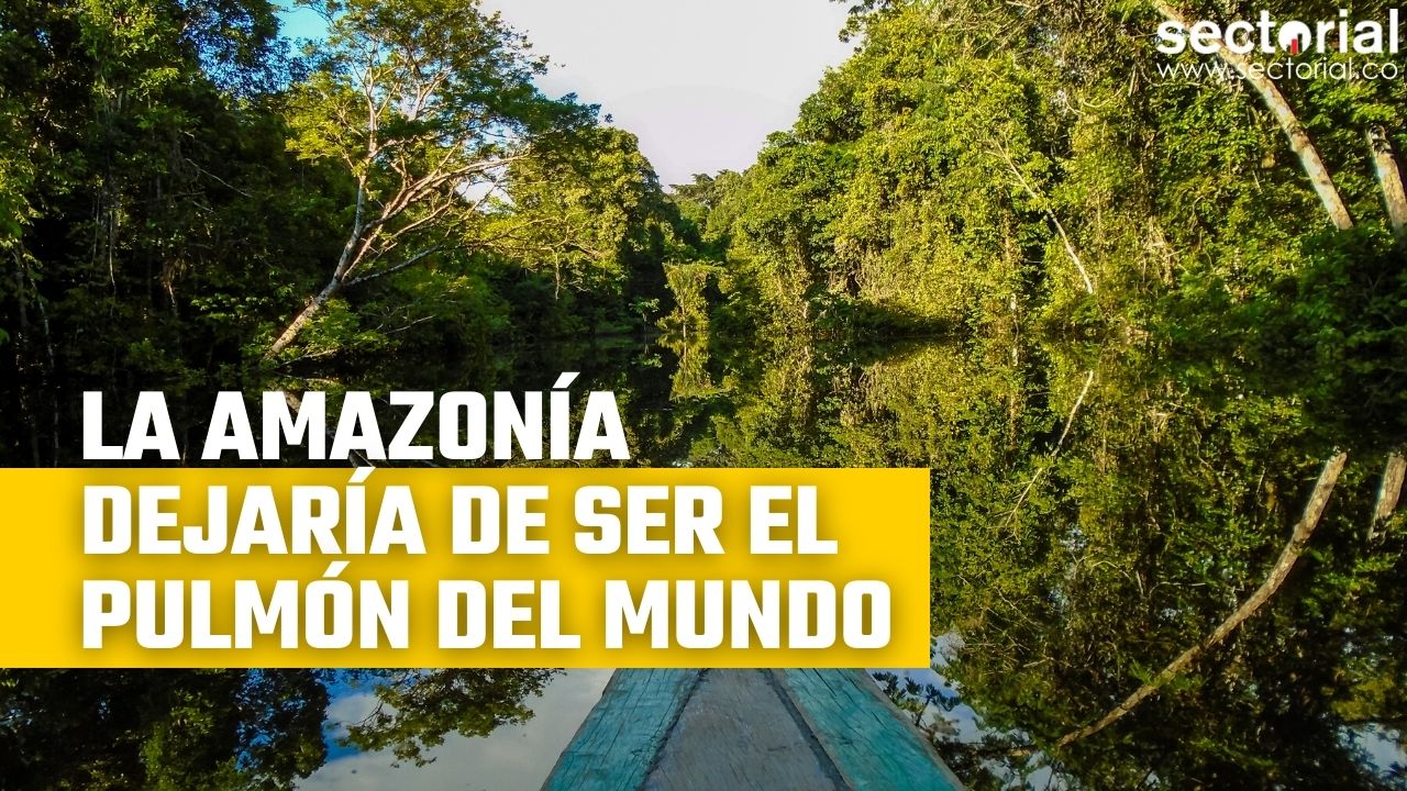 Amazonia