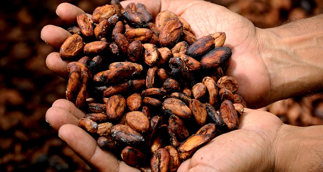 Cacao Manos