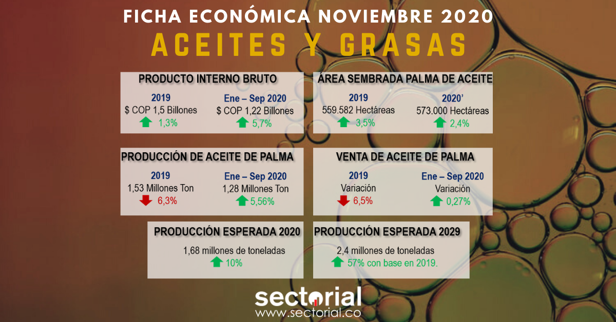 Ficha Aceites 2020 II