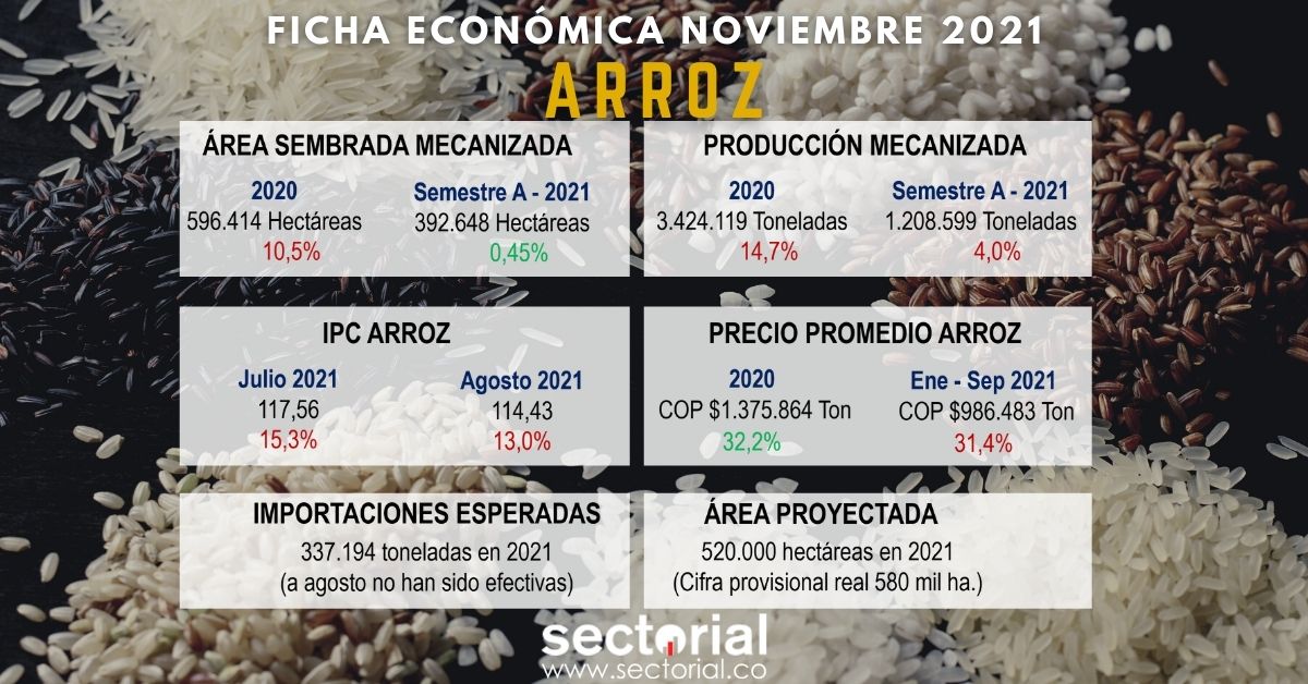 Ficha Economica Arroz