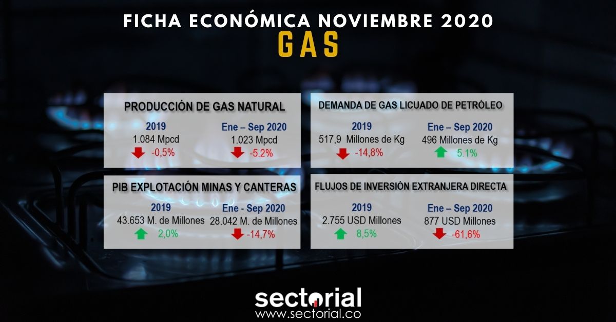 Ficha Gas 2020 II 