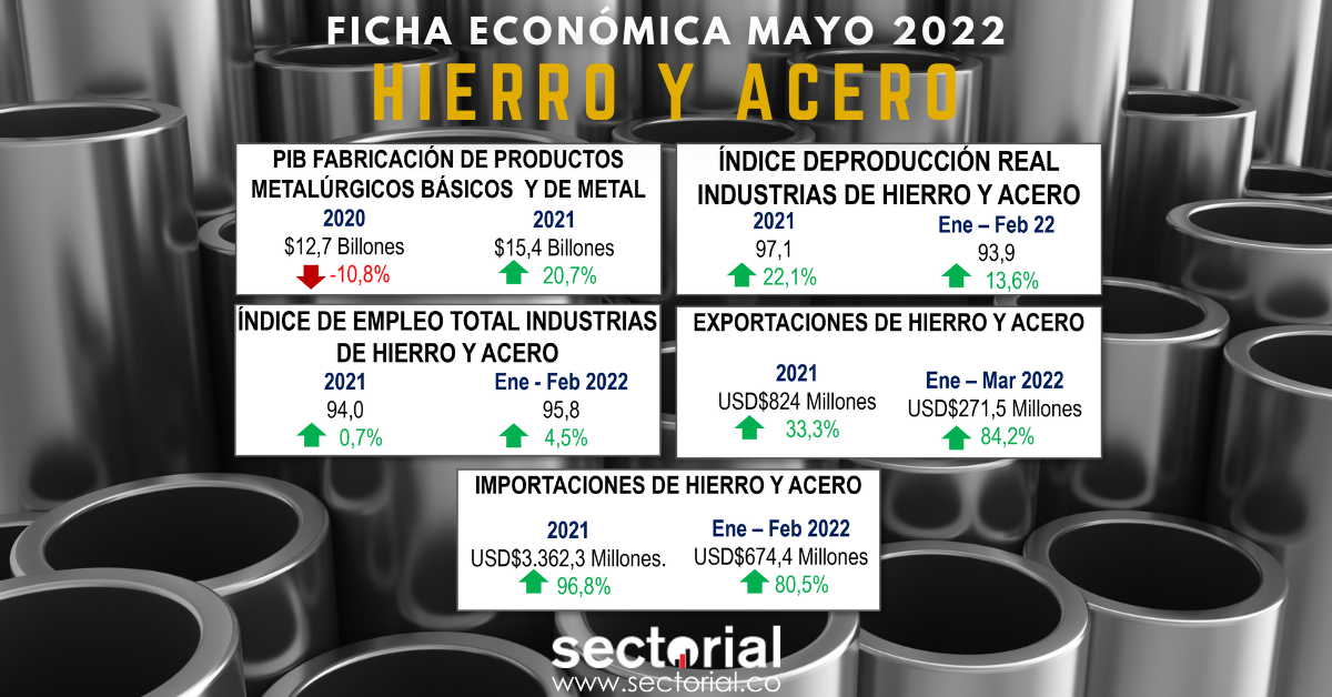 Ficha Hierro Y Acero 2022