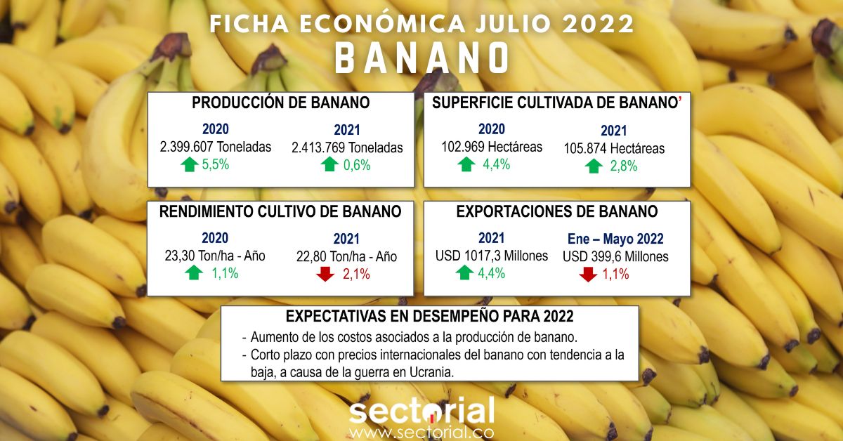 Fichas Económica Banano 2022