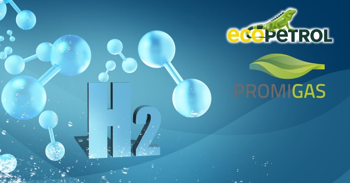 Fichas Económicas 1