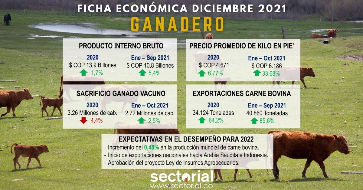 Fichas Económicas Ganadero Dic