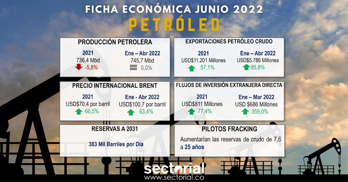 Fichas Petroleo 2022