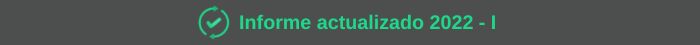 Informe Actualizado 2022 I