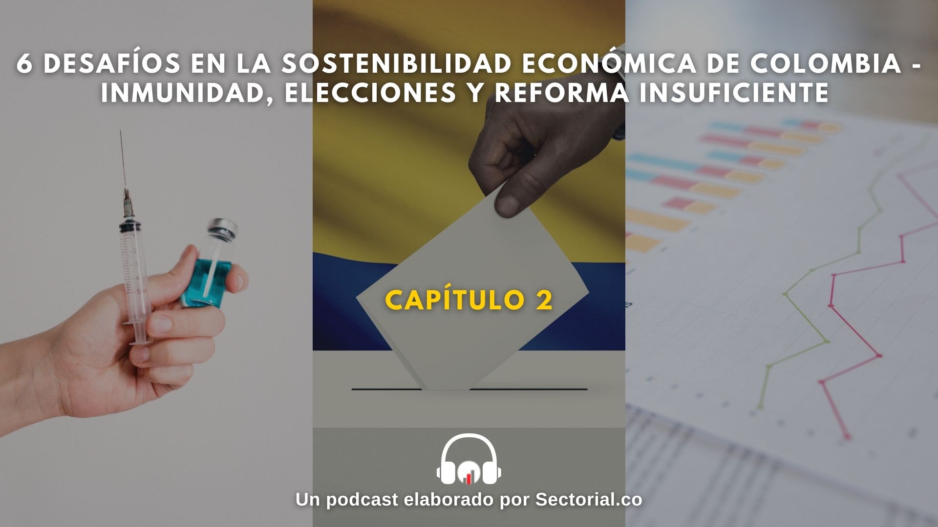 Inmunidad Elecciones Y Reforma Insuficiente