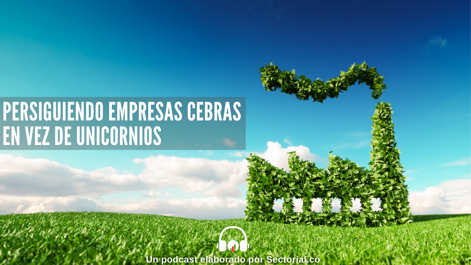 Portada Miniatura Persiguiendo Empresas Cebra En Vez De Unicornio