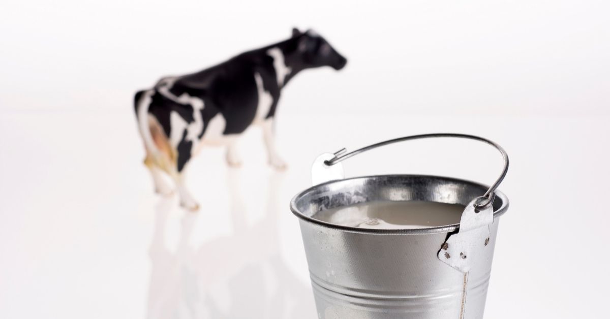 Producción De Leche