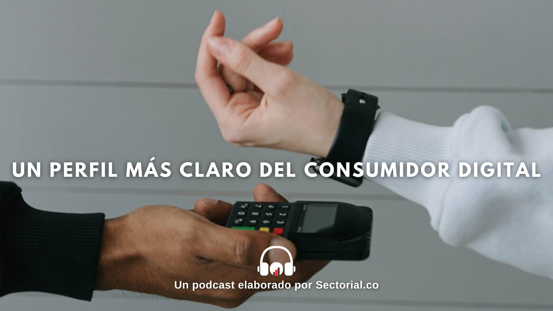 Un Perfil Más Claro Del Consumidor Digital