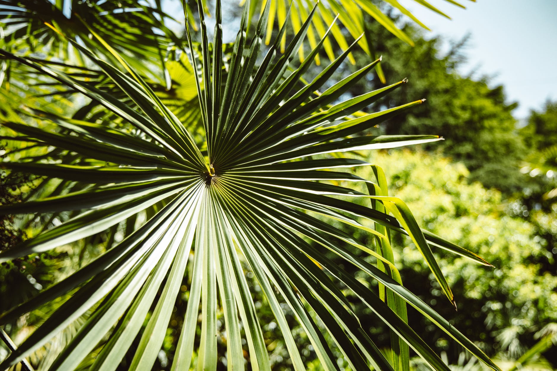 Pexels Photo 7931241