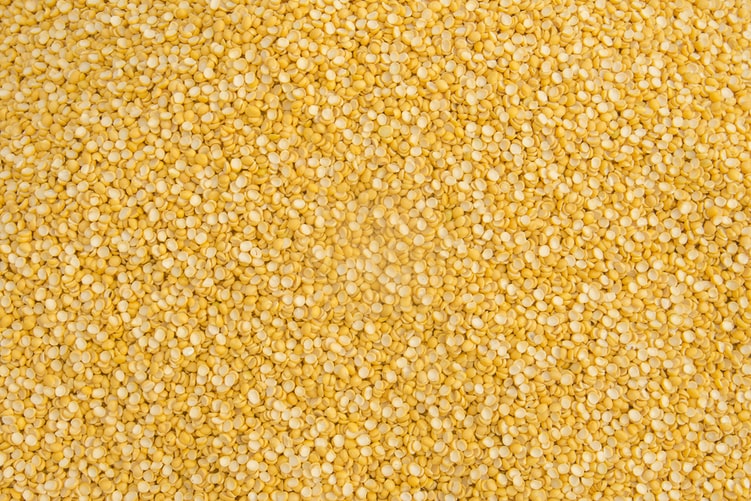 Photo 1599403417225 D33e16d418c3