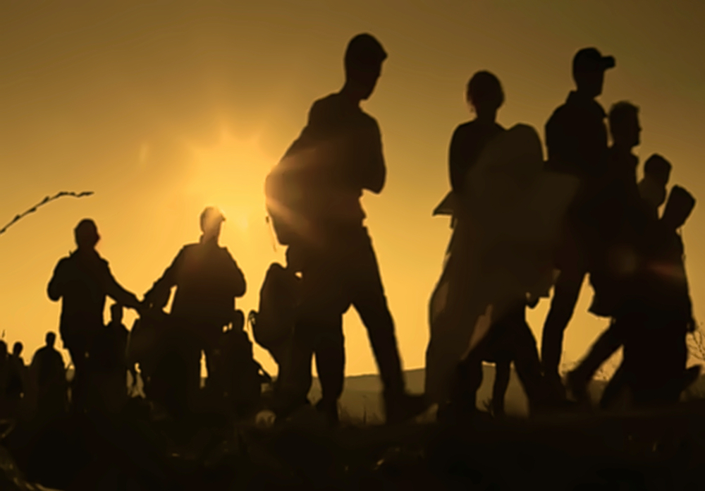 Shutterstock 1008288460