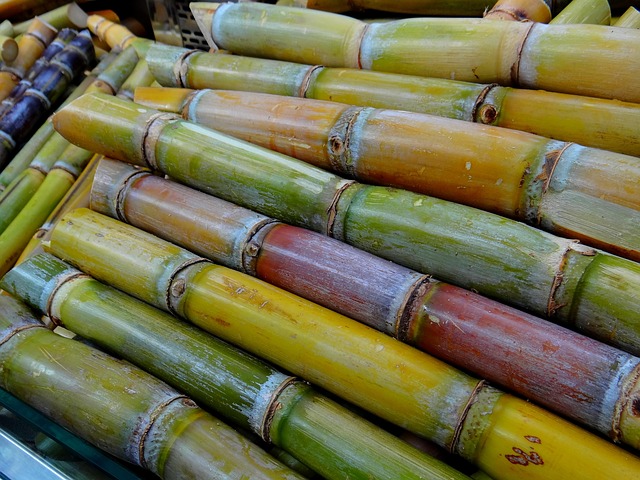 Sugar Cane 276242 640
