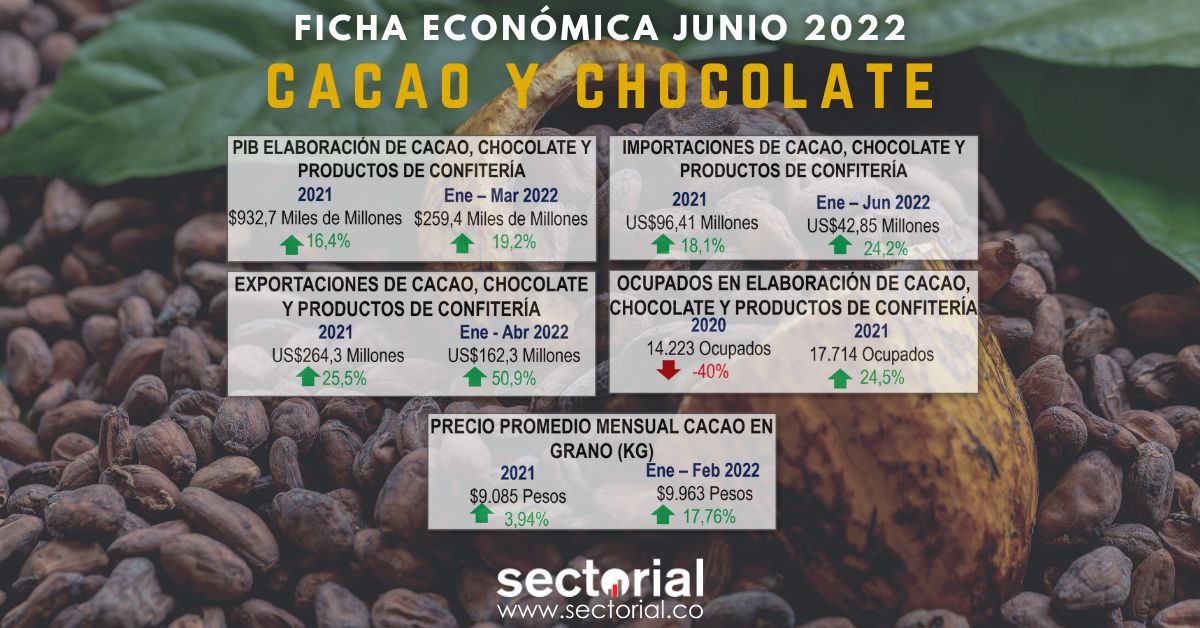Cacao Junio 2022