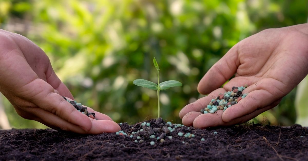 Fertilizantes Colombia