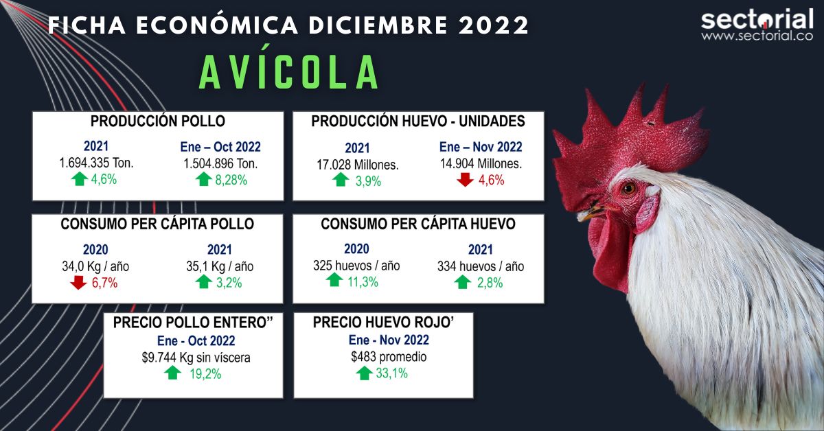 Ficha Avicola Diciembre 2022