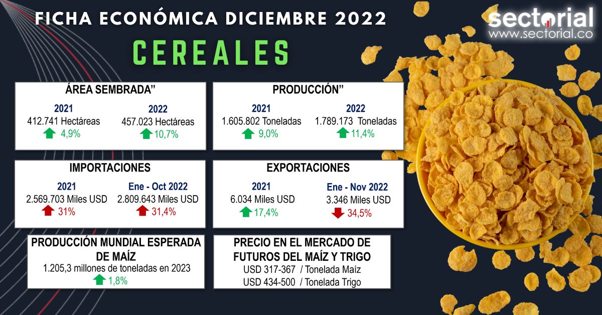 Fichas Cereal Dic 2022