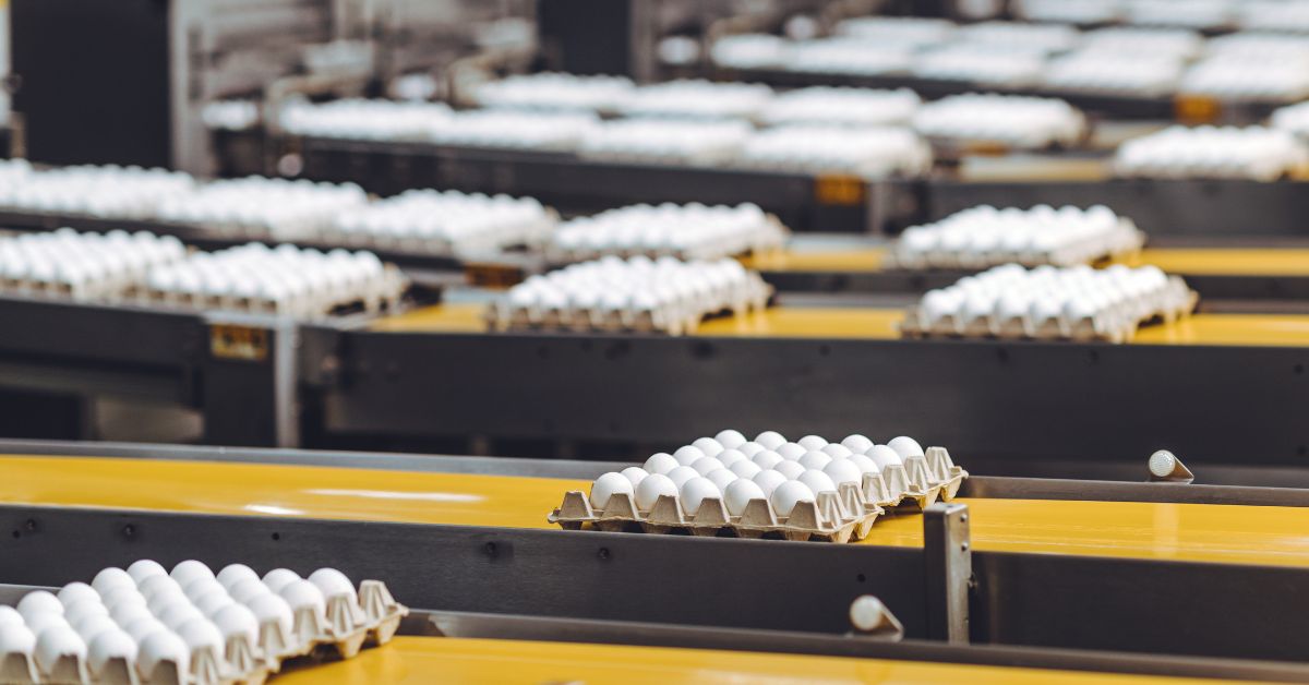 Producción Avícola