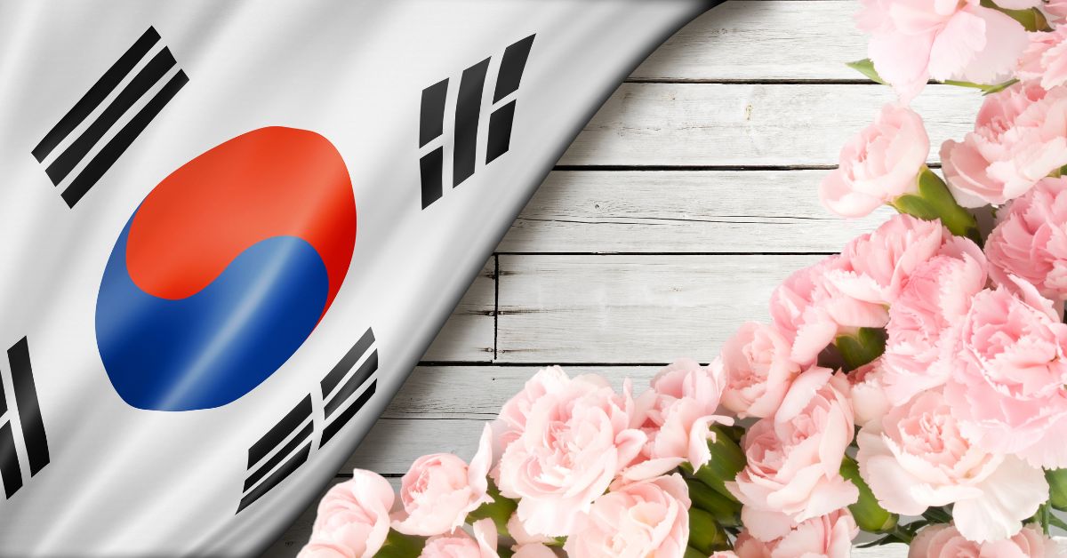 Corea Del Sur Claveles