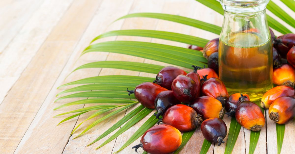 Cultivo De Aceite De Palma