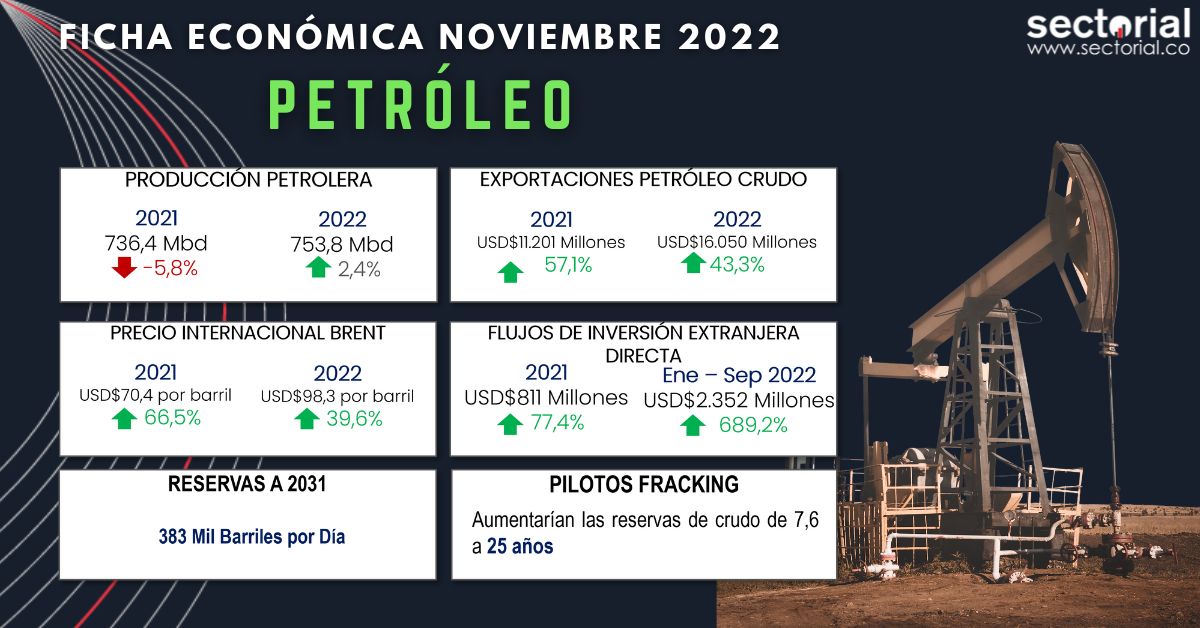 Ficha Petrolera 2022