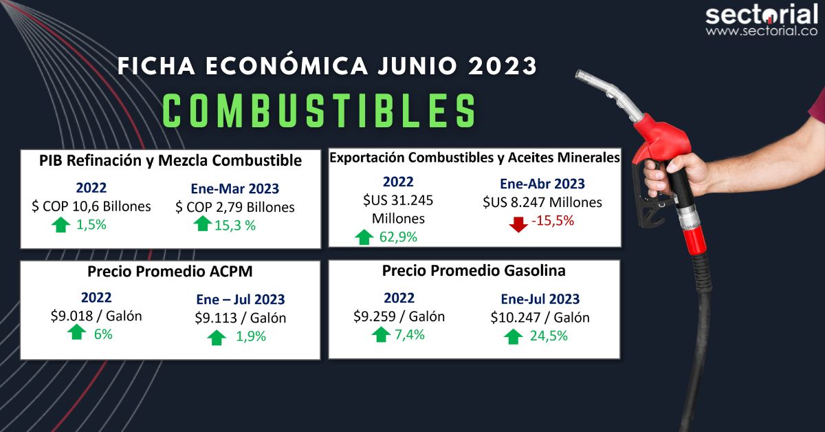 Ficha Combustible Jun 2023