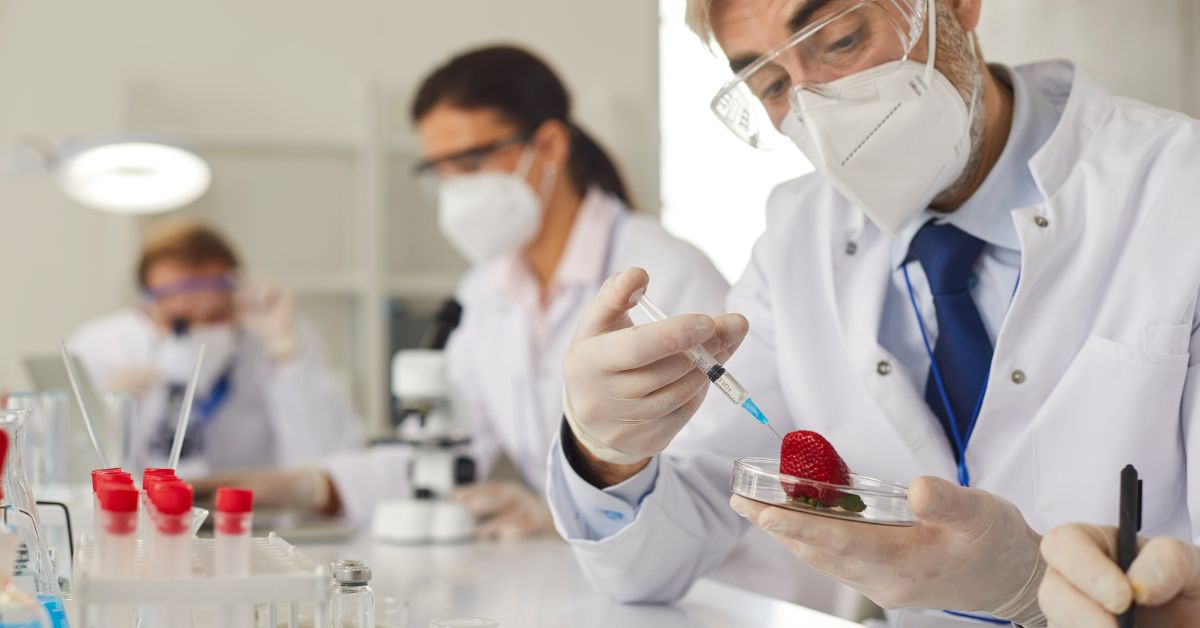 Alimentos Transgenicos Fresa