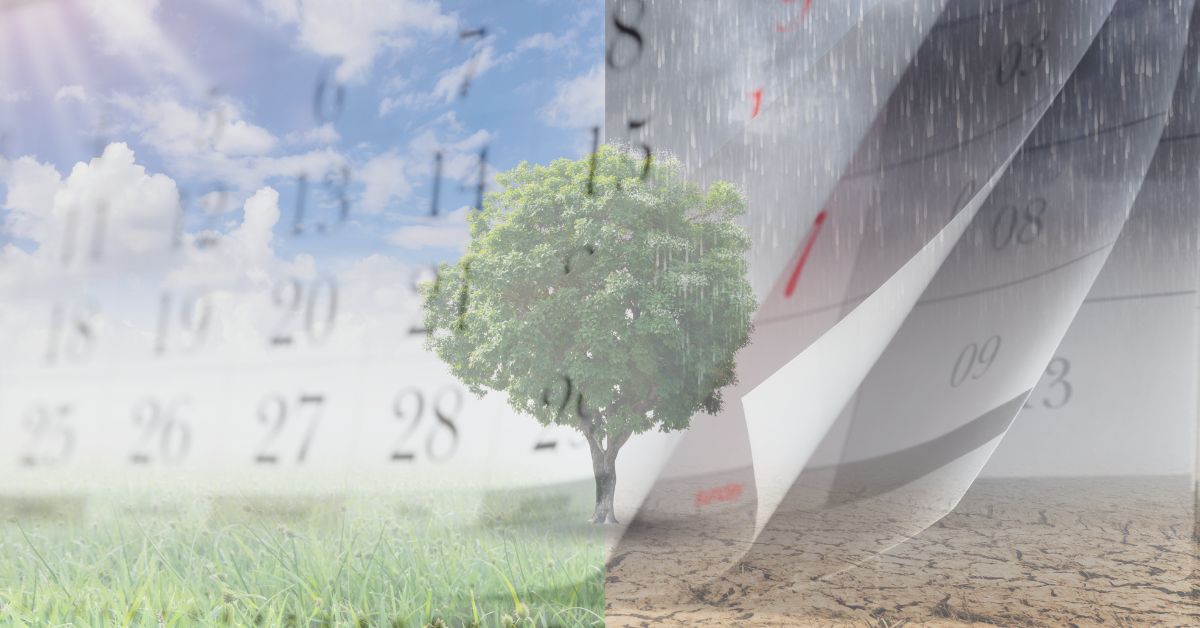 Fenomeno De El Nino Calendario