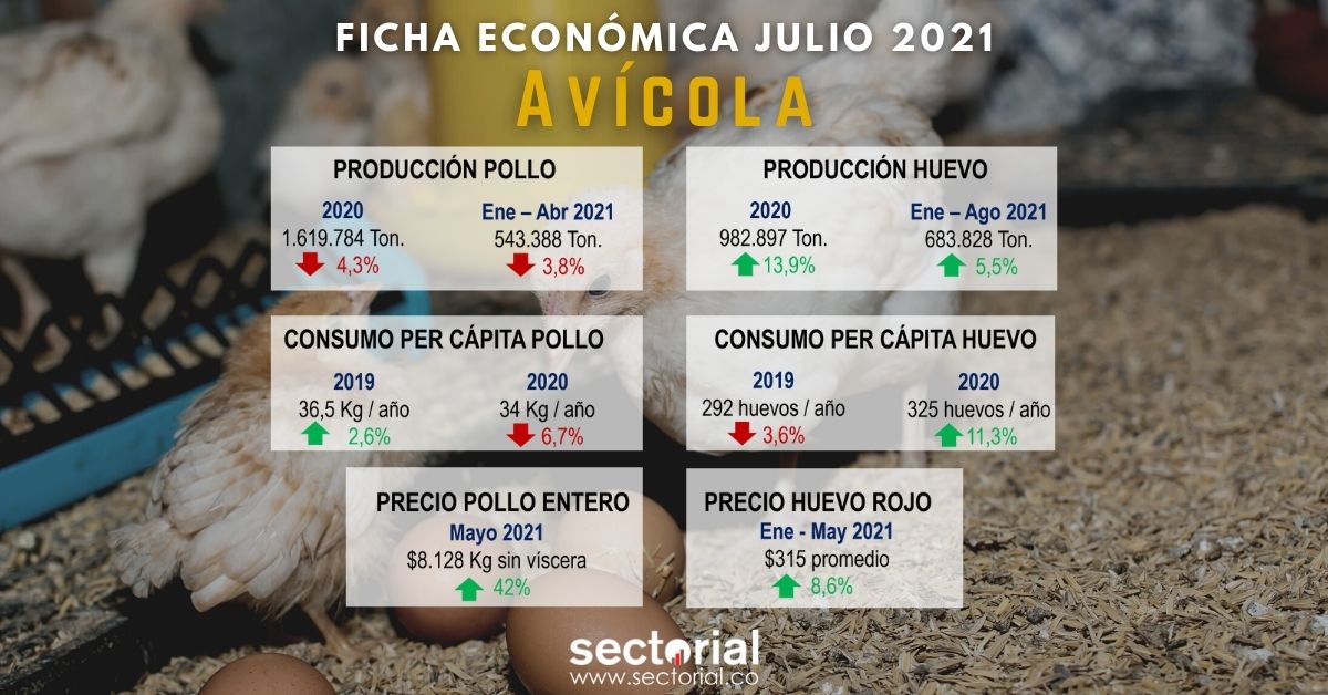 Fichas Económicas Avicola Julio