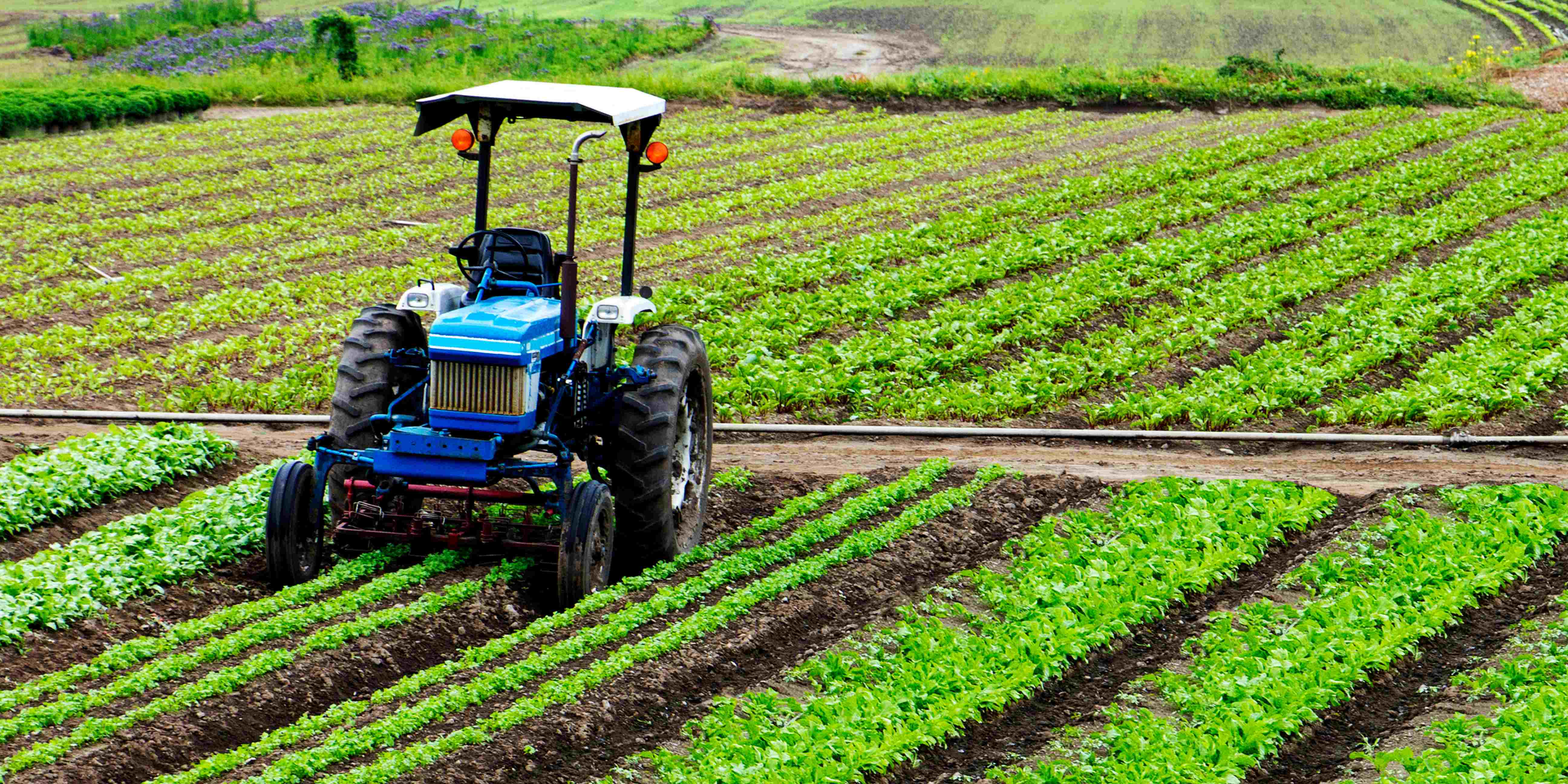 Valora Analitik Confianza Sectorial Colombia Volvio Crecer En Septiembre Revirtiendo Caida De Agosto