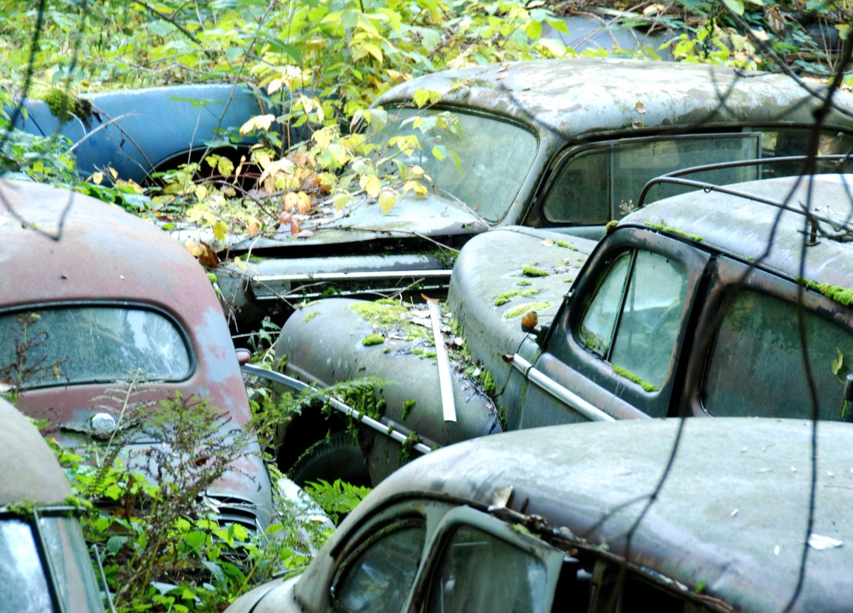 Car Cemetery Old Cars Neglected Scruffy Turned Off Useless Consumes Discarded 968170