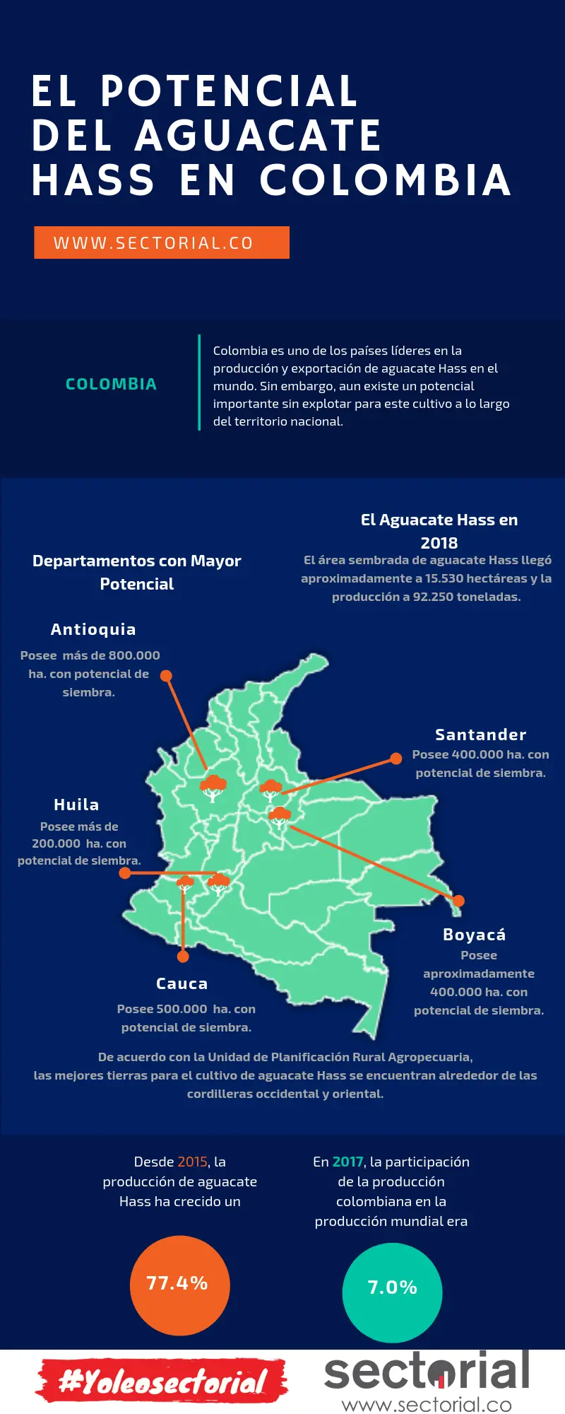 20190521 El Potencial Del Aguacate Hass En Colombia Infografía