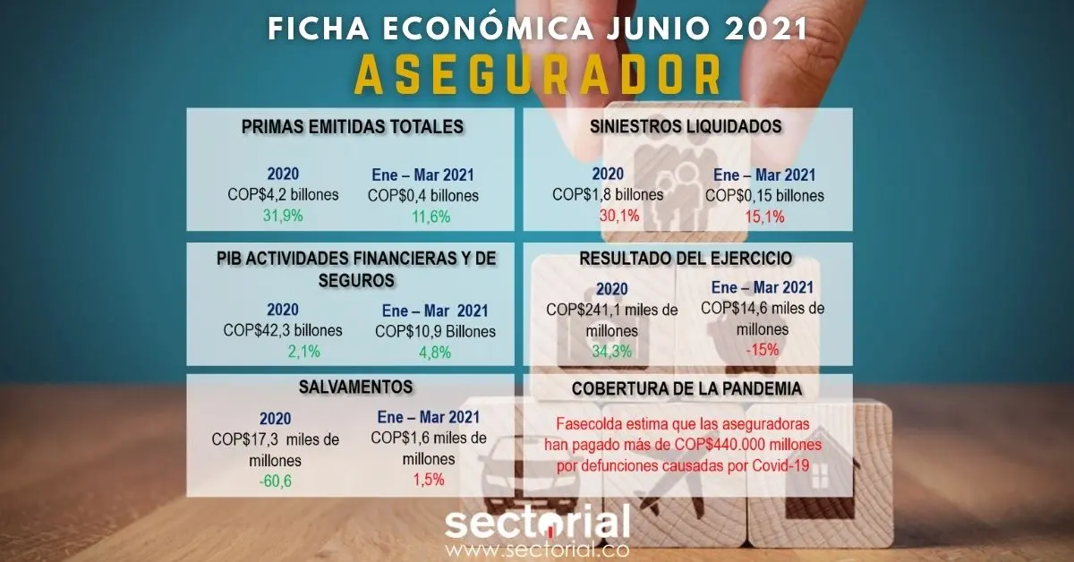 Asegurador Ficha 2021